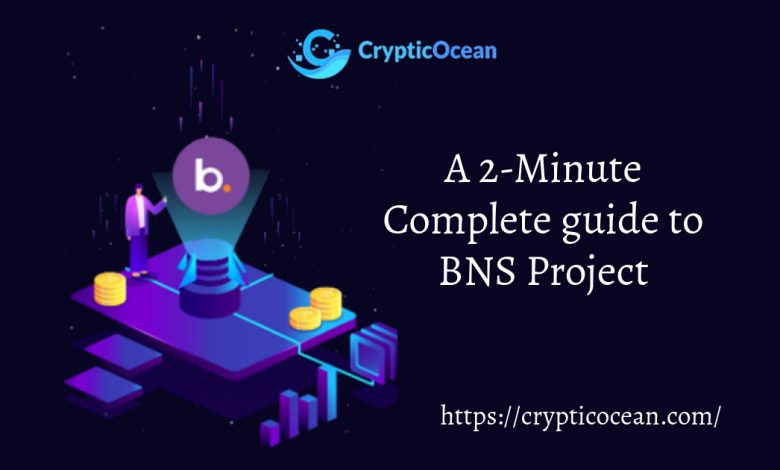 BNS Project